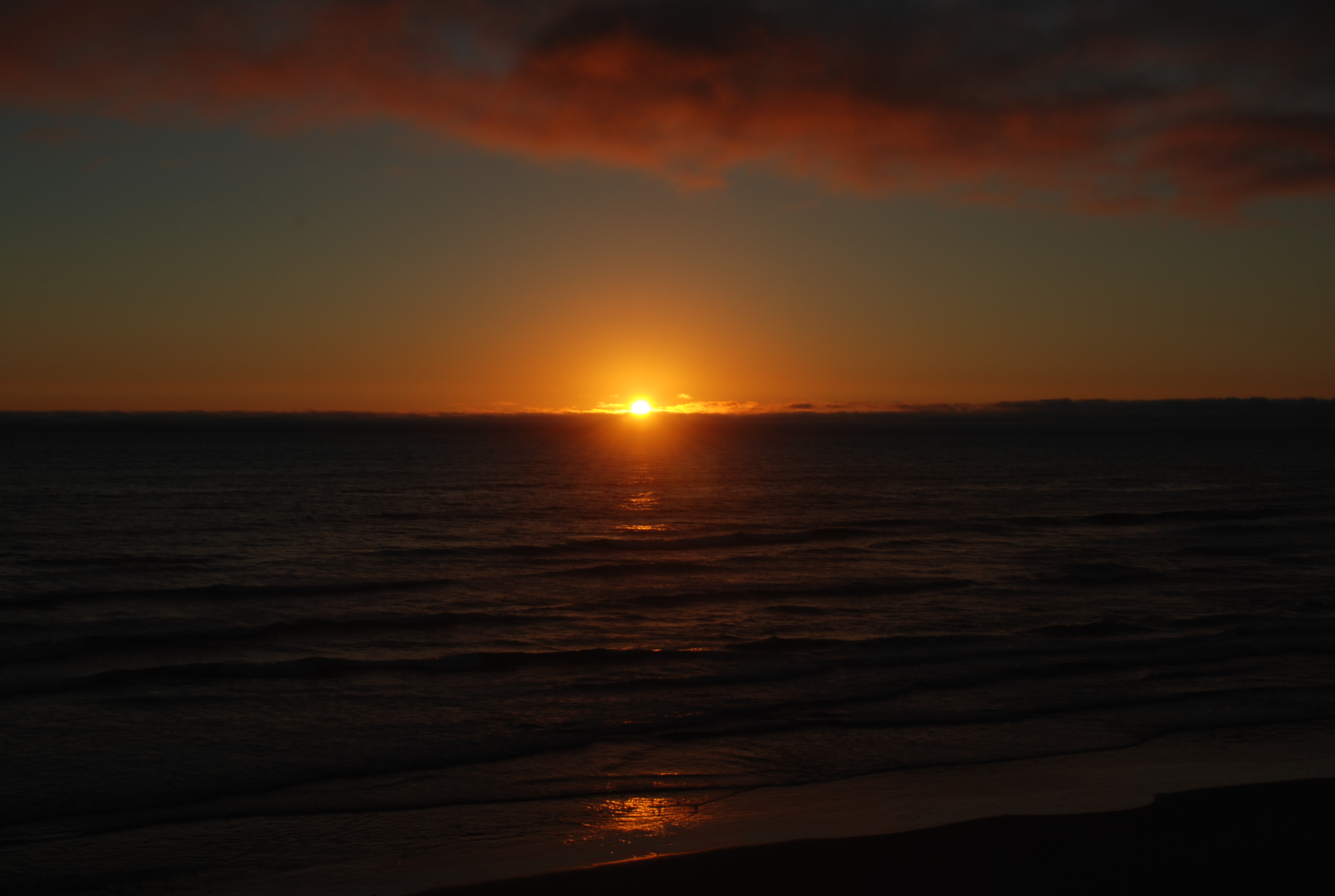 dsc_1000.jpg